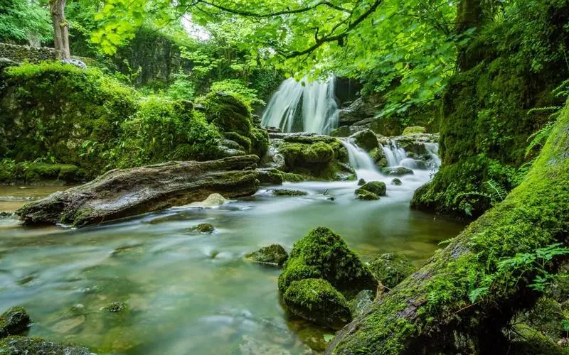 高端独特